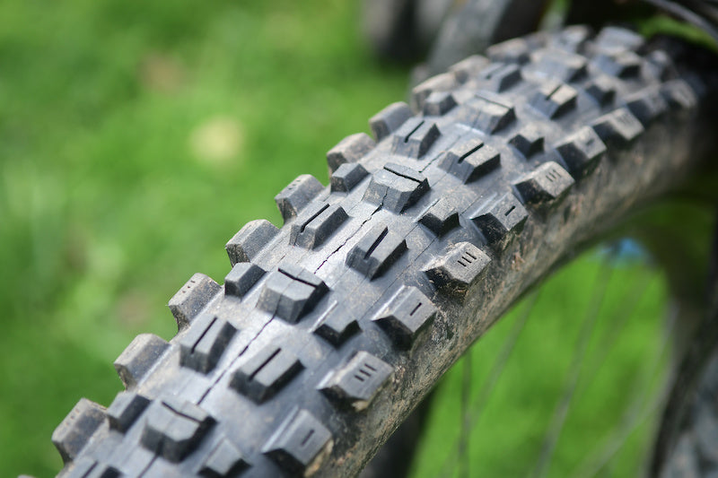 Maxxis - Assegai 3C MaxxTerra EXO+ - Black