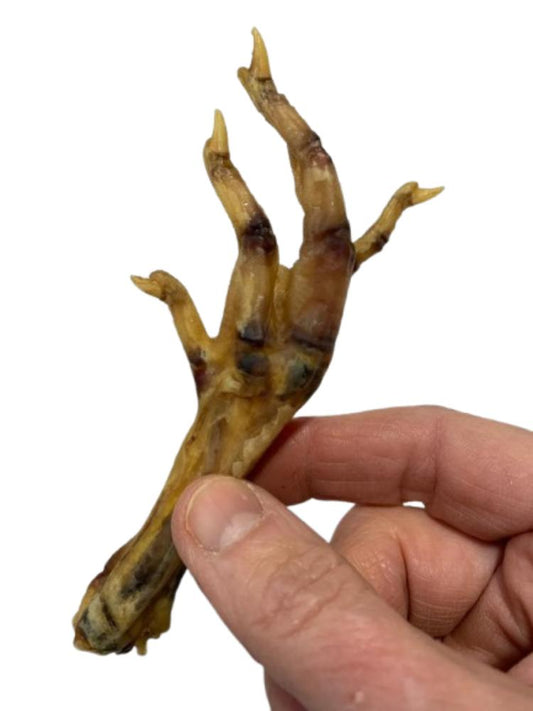 Pasture Pet - Chicken Feet