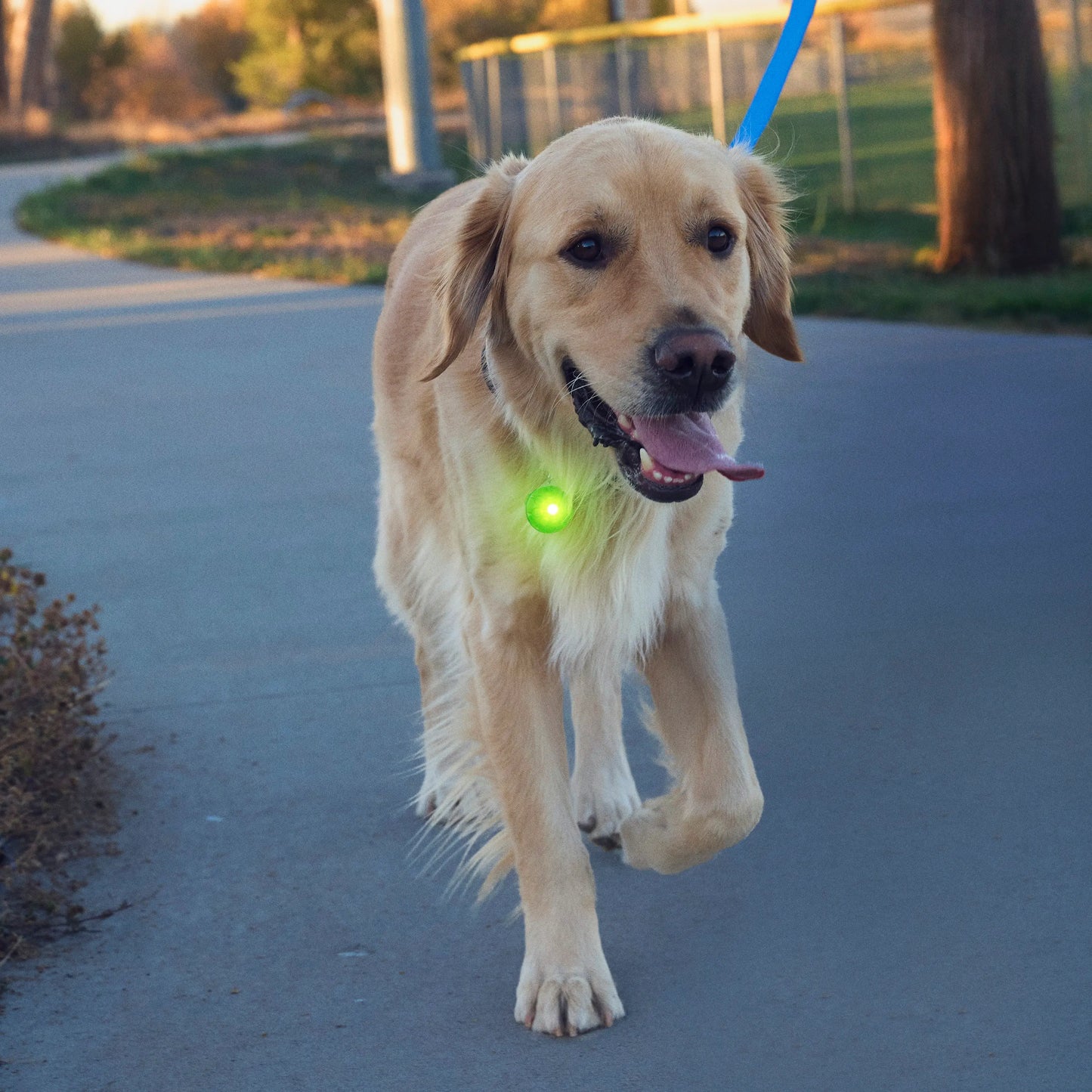 Nite Ize - Spotlit Rechargeable Collar Light - Green