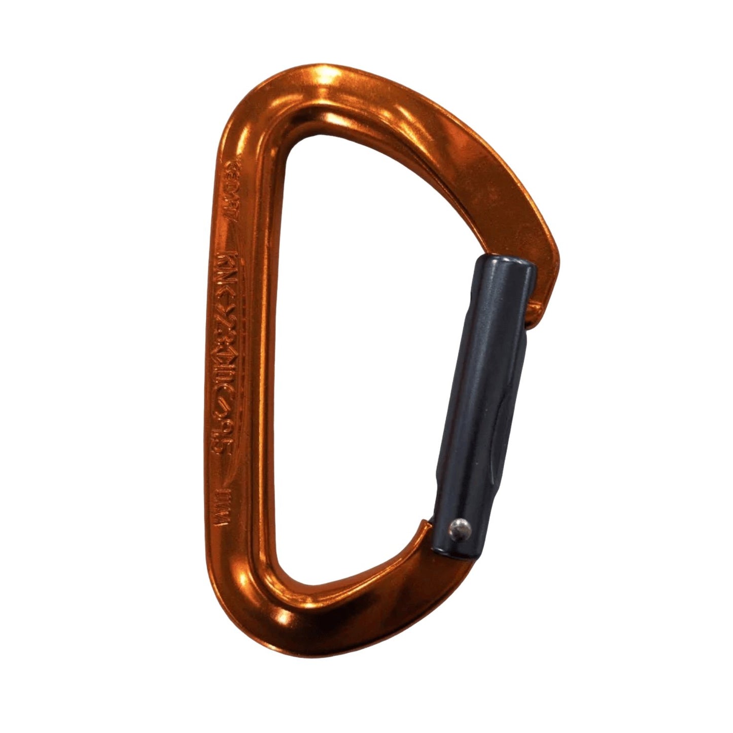 Petzl Spirit