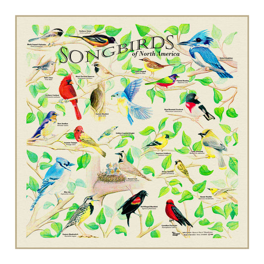 The Printed Image - Bandana - Songbirds