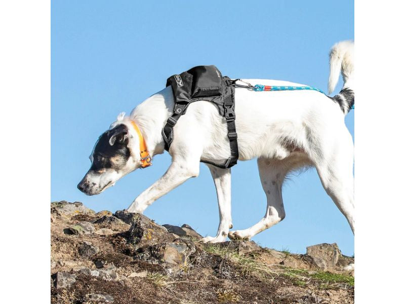 Kurgo - Stash n' Dash Harness - Black