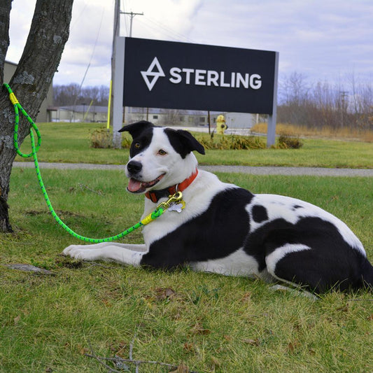 Sterling - Dog Leash