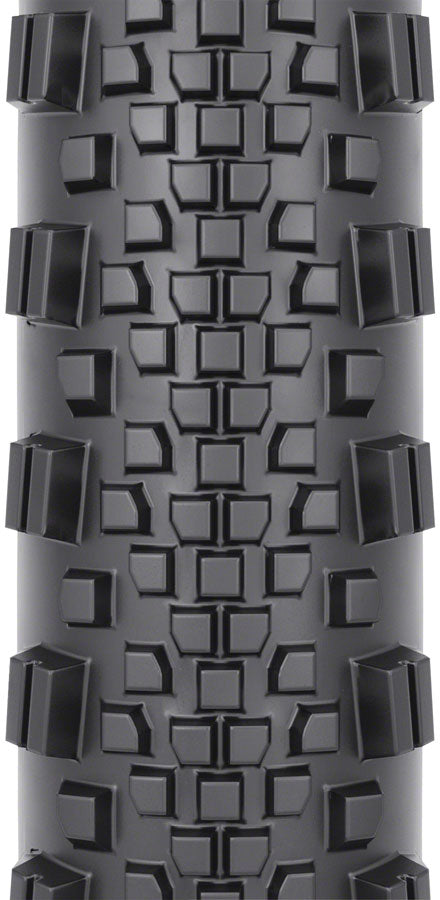 WTB - Raddler Tire, TCS Tubeless - Black