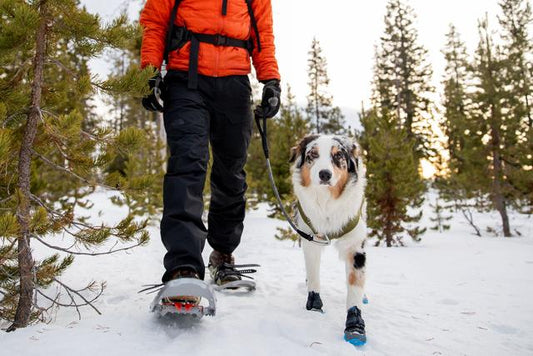 Ruffwear - Polar Trex Dog Boot Pairs - Obsidian Black