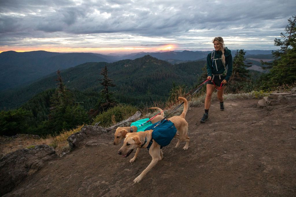 Ruffwear - Front Range Day Pack