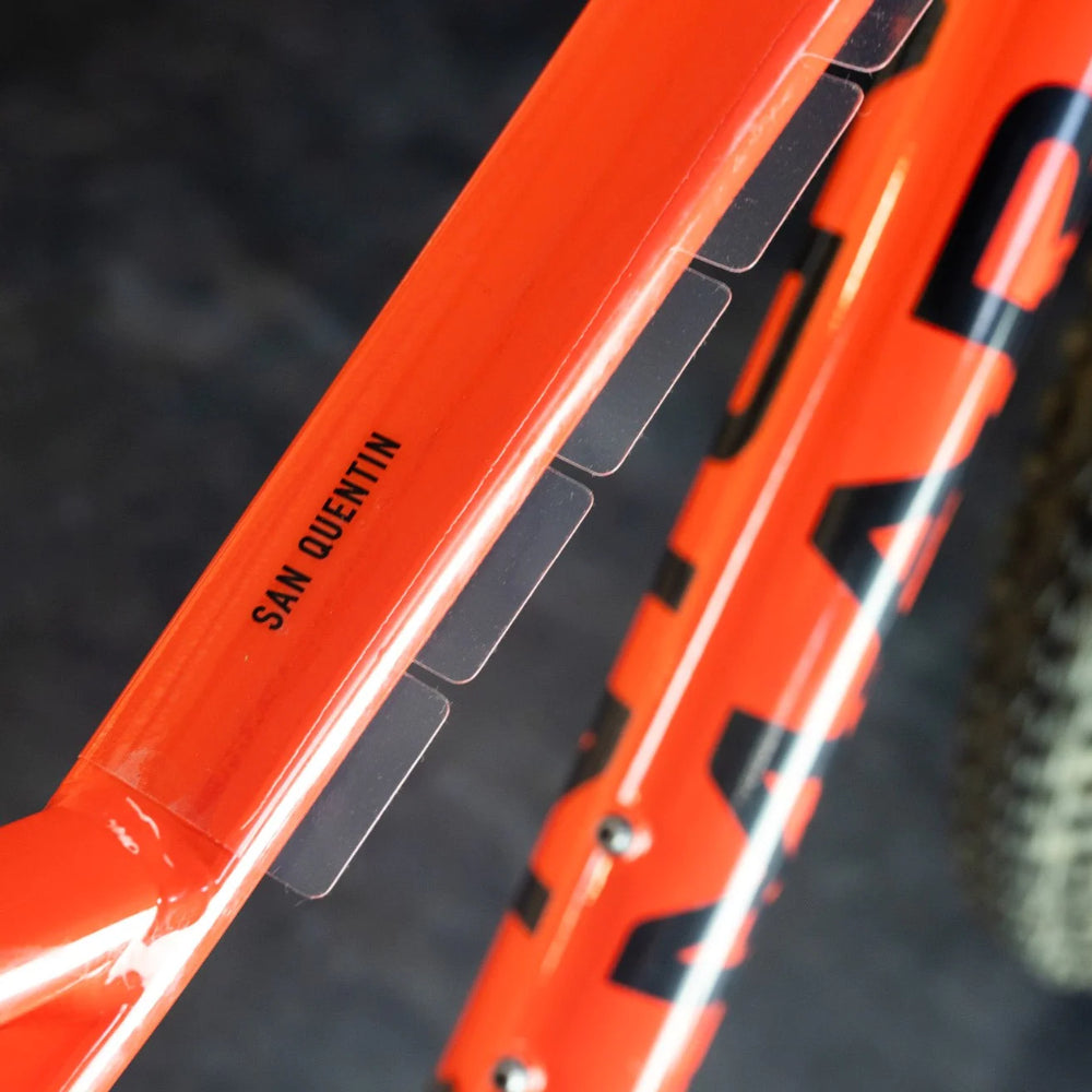 Ground Keeper - Frame Keeper - Space Ferns Gloss