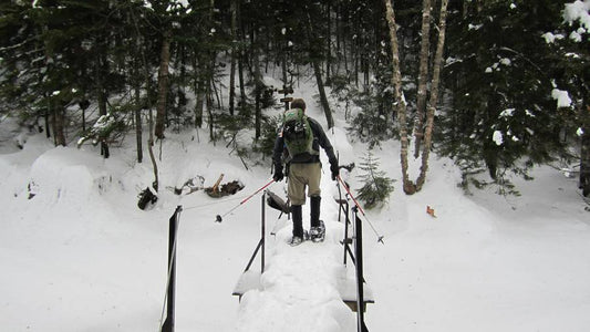 Snowshoe Buyer's Guide