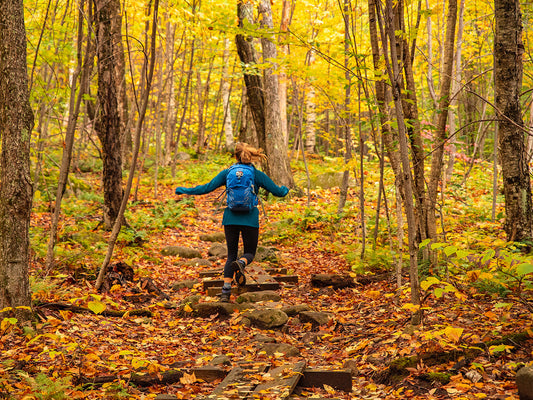 Fall Layering Guide