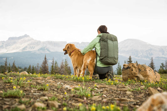 Premier Gear: The Gregory Aspect Series