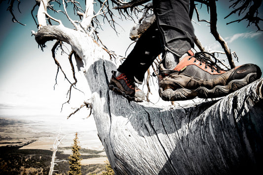 Brand Spotlight: Oboz Footwear