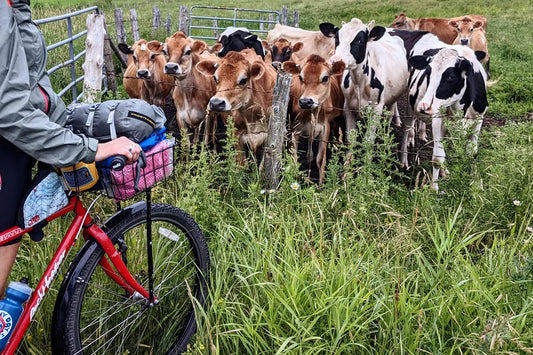 Three Ways to Bike Across VT