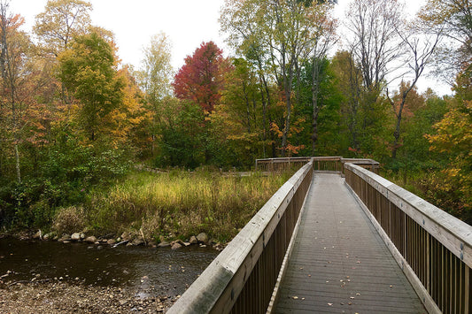 6 Kid-Friendly Vermont Fall Adventures