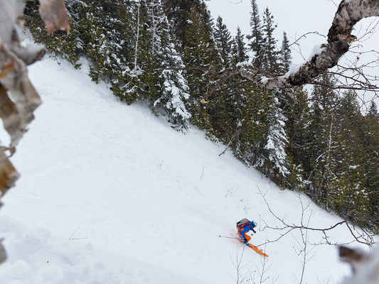 2021 Skis We Really Love