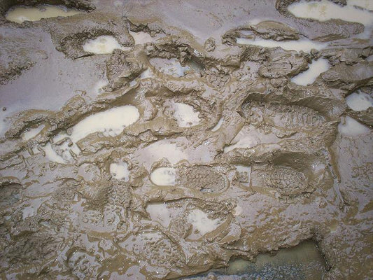 Mud Season in Vermont - Trail Closures on the Long Trail