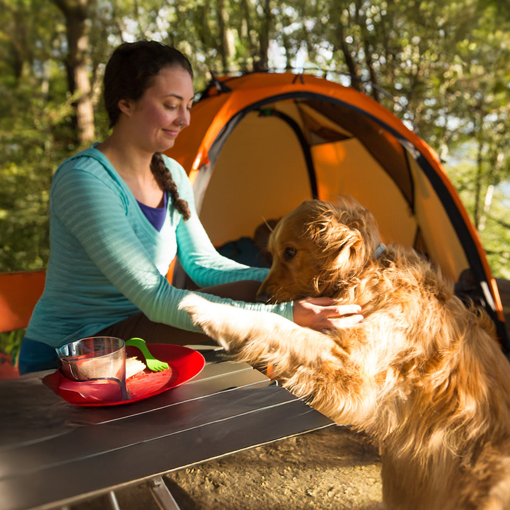 Spring Camping Essentials