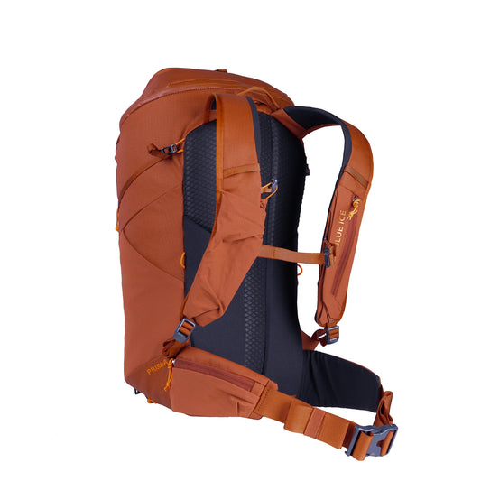 BLUE ICE - Prisma 30 - Burnt Henna