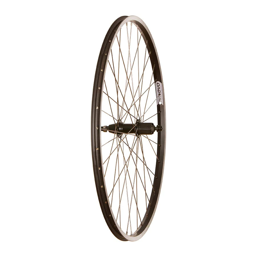 EVO - Tour 20 Front 700c QR Wheel Rim - 622x100 36