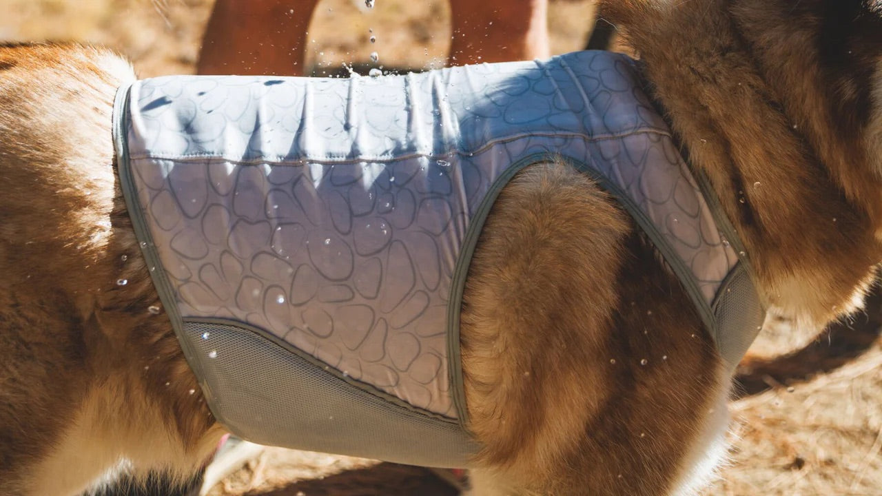 Ruffwear - Swamp Cooler Zip Vest - Graphite Gray