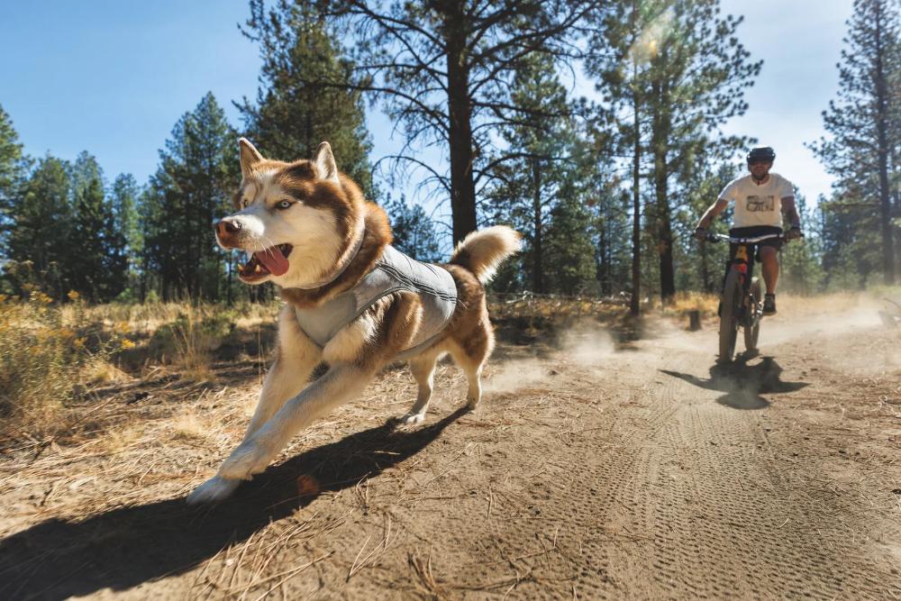 Ruffwear - Swamp Cooler Zip Vest - Graphite Gray
