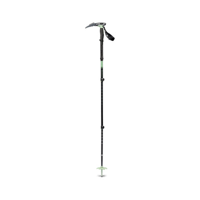 Ski Poles