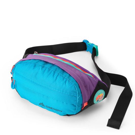 Gregory - Nano Waistpack Plus