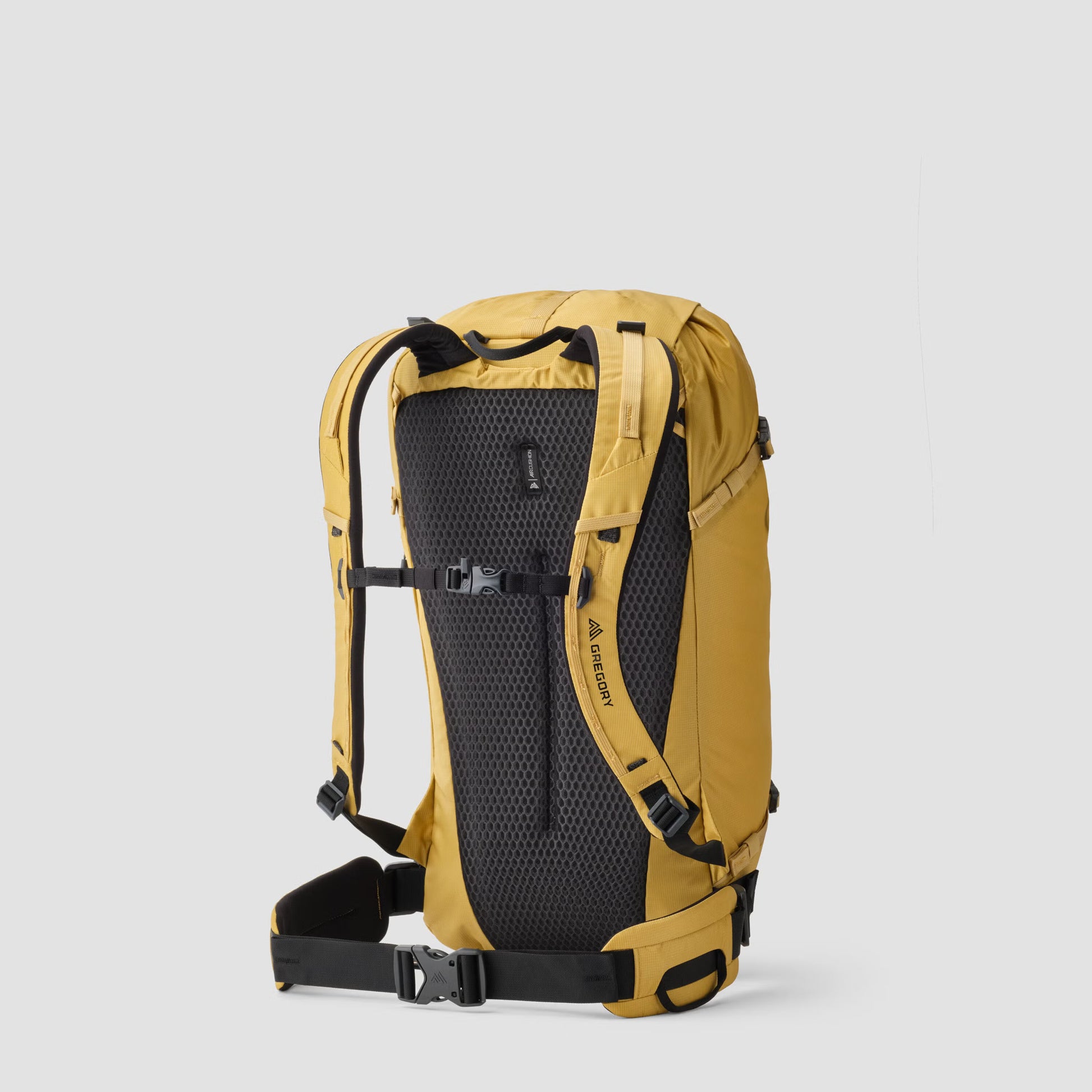 gregory 30 backpack Gregory Alpinisto 30 L Backpack