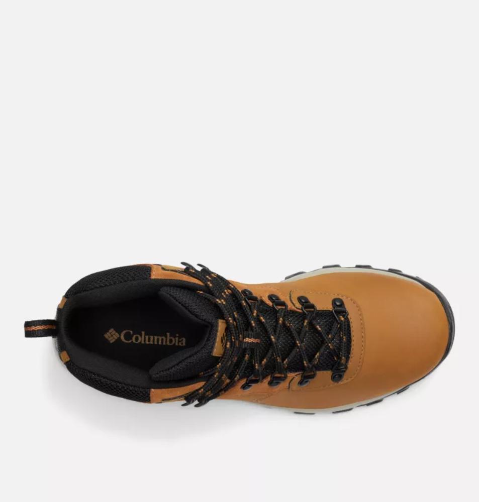 Columbia - Newton Ridge Plus II Waterproof - Men's - Elk, Black