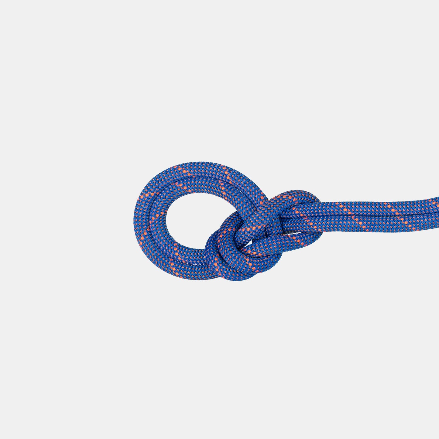 Mammut - 9.0 Crag Sender Dry Rope - Ice Sunrise