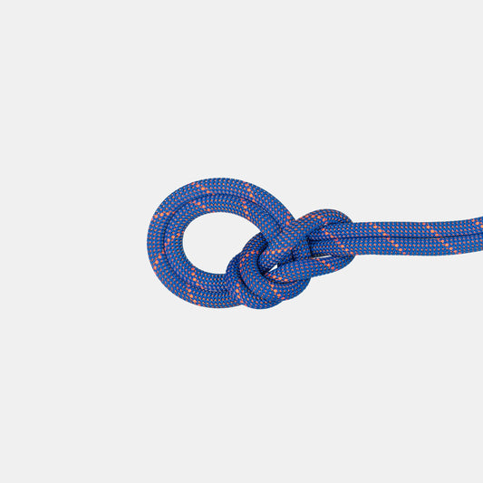 Mammut - 9.0 Crag Sender Dry Rope - Ice Sunrise