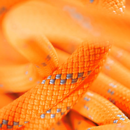 Mammut - 9.5 Alpine Dry Rope - Vibrant Orange Zen