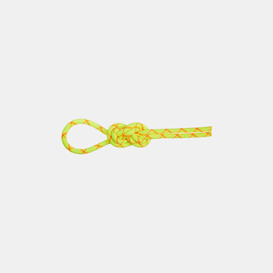 Mammut - 9.5 Alpine Core Protect Dry Rope - Halo Vibrant Orange