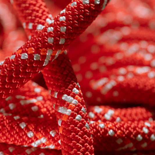 Mammut - 9.5 Gym Classic Rope - Raspberry White