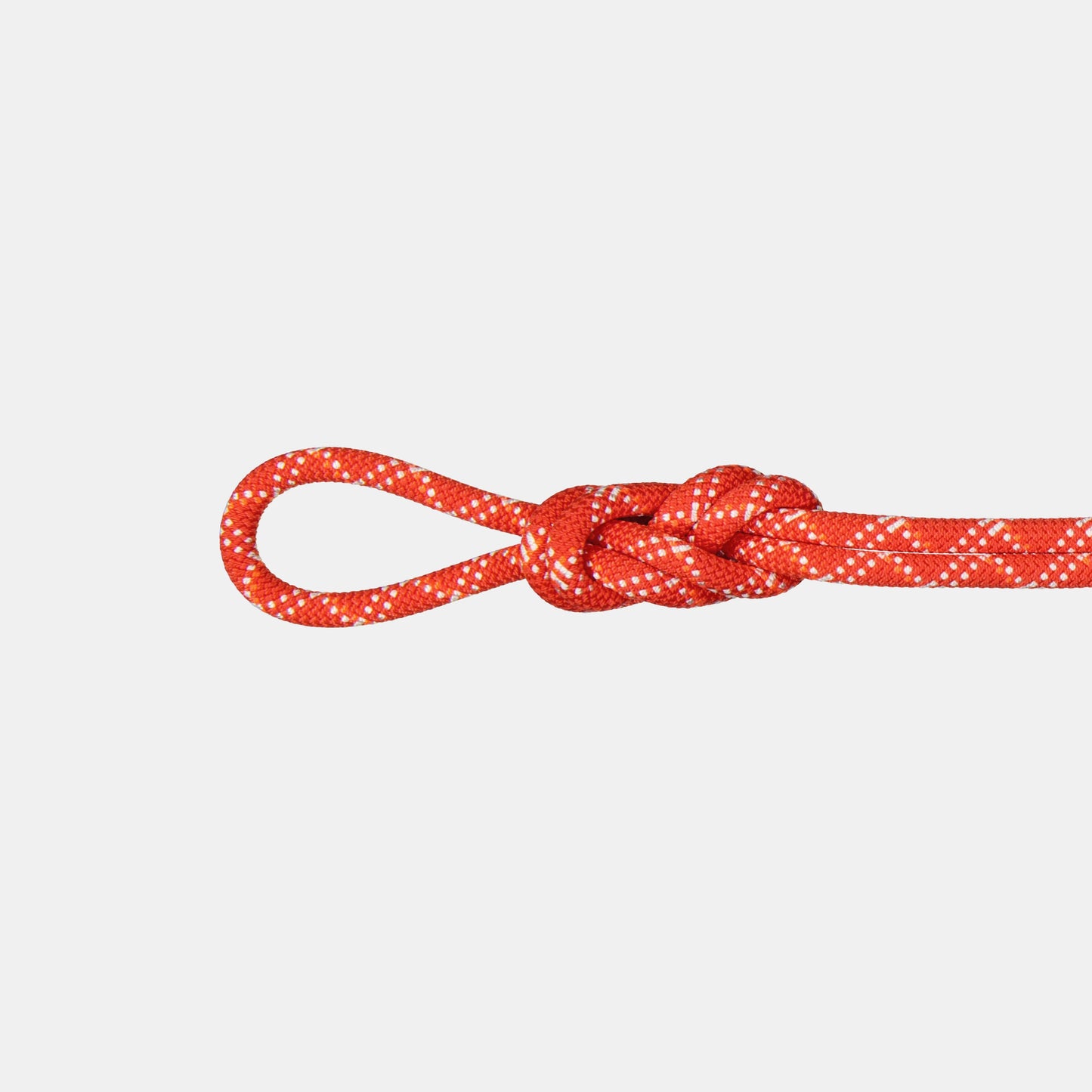Mammut - 9.5 Gym Classic Rope - Raspberry White