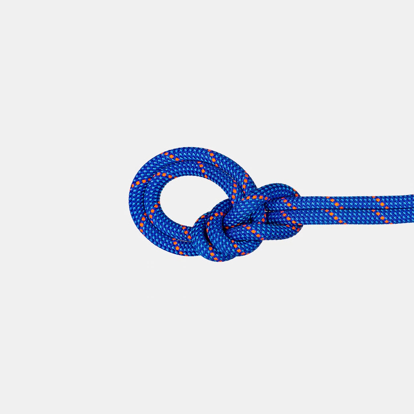Mammut - 9.5 Crag Dry Rope - Blue Ocean