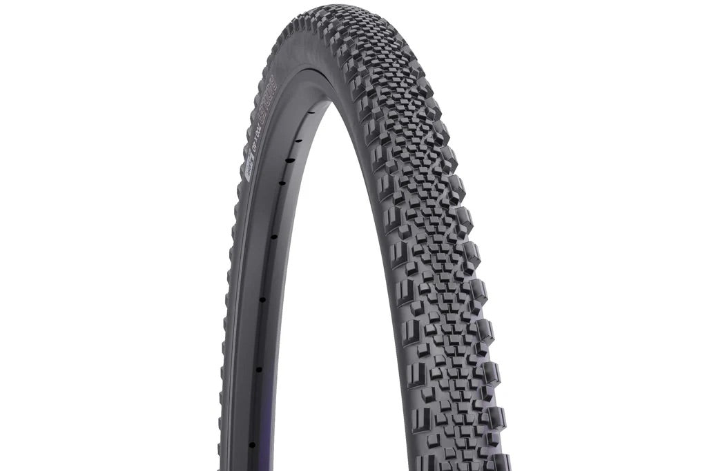 WTB - Raddler Tire, TCS Tubeless - Black