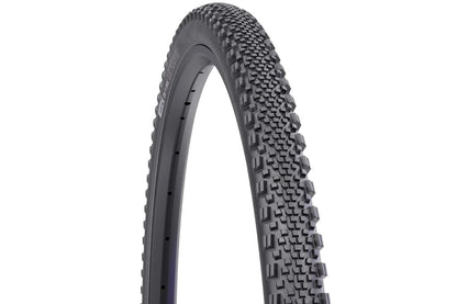 WTB - Raddler Tire, TCS Tubeless - Black