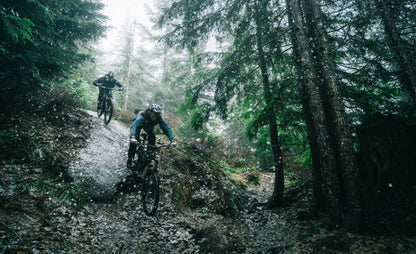 Transition - Repeater Carbon GX - Mossy Green