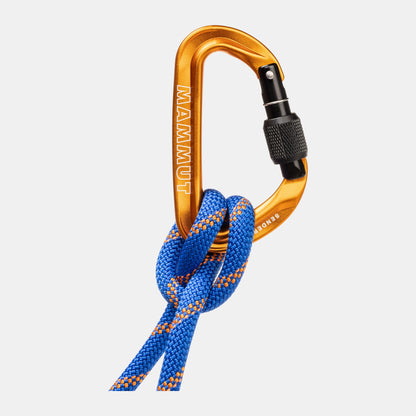 Mammut - Sender Screwgate Carabiner - Gold