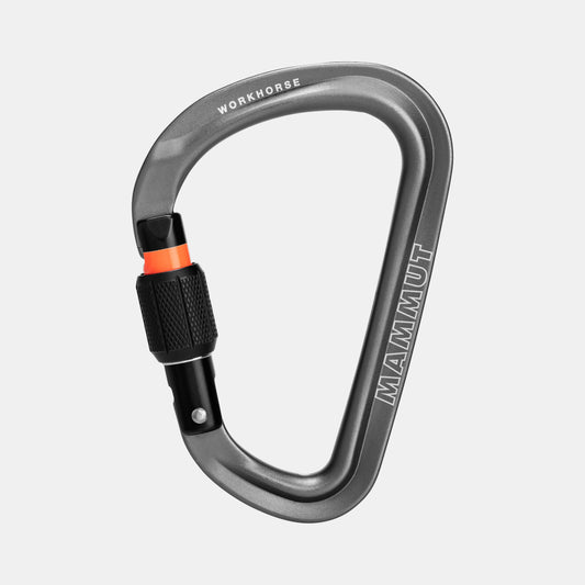 Mammut - Workhorse HMS Screwgate Carabiner - Grey