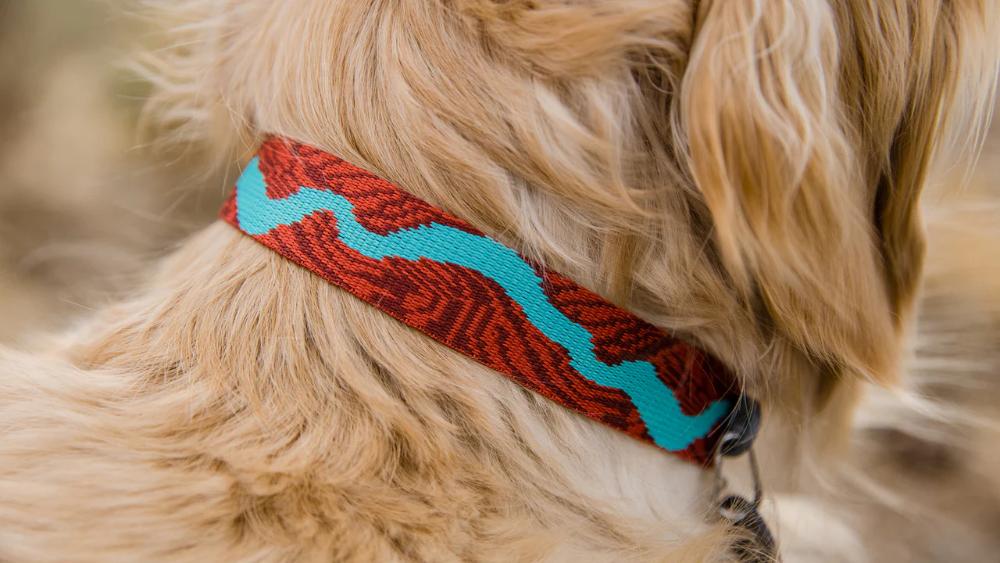 Ruffwear - Flat Out Collar - Ember Distortion