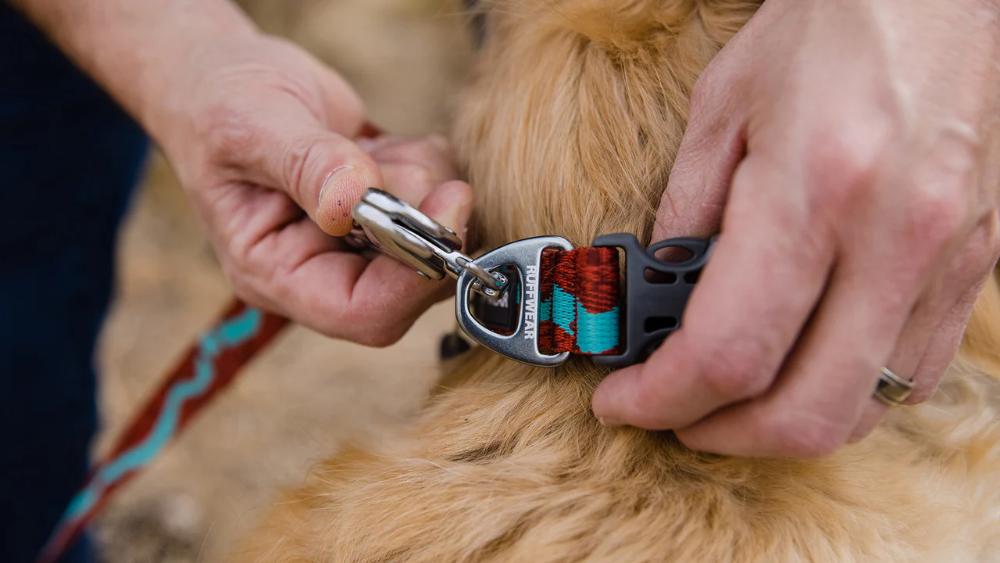 Ruffwear - Flat Out Collar - Ember Distortion