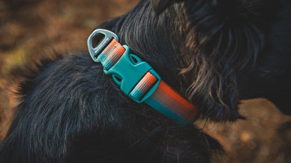 Ruffwear - Front Range Collar - River Rock Green
