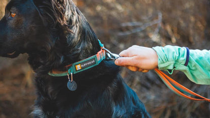 Ruffwear - Front Range Collar - River Rock Green