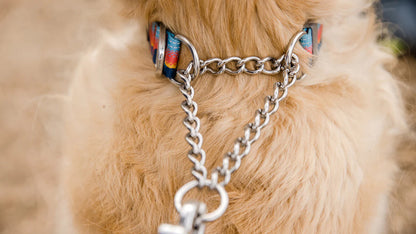Ruffwear - Chain Reaction Collar