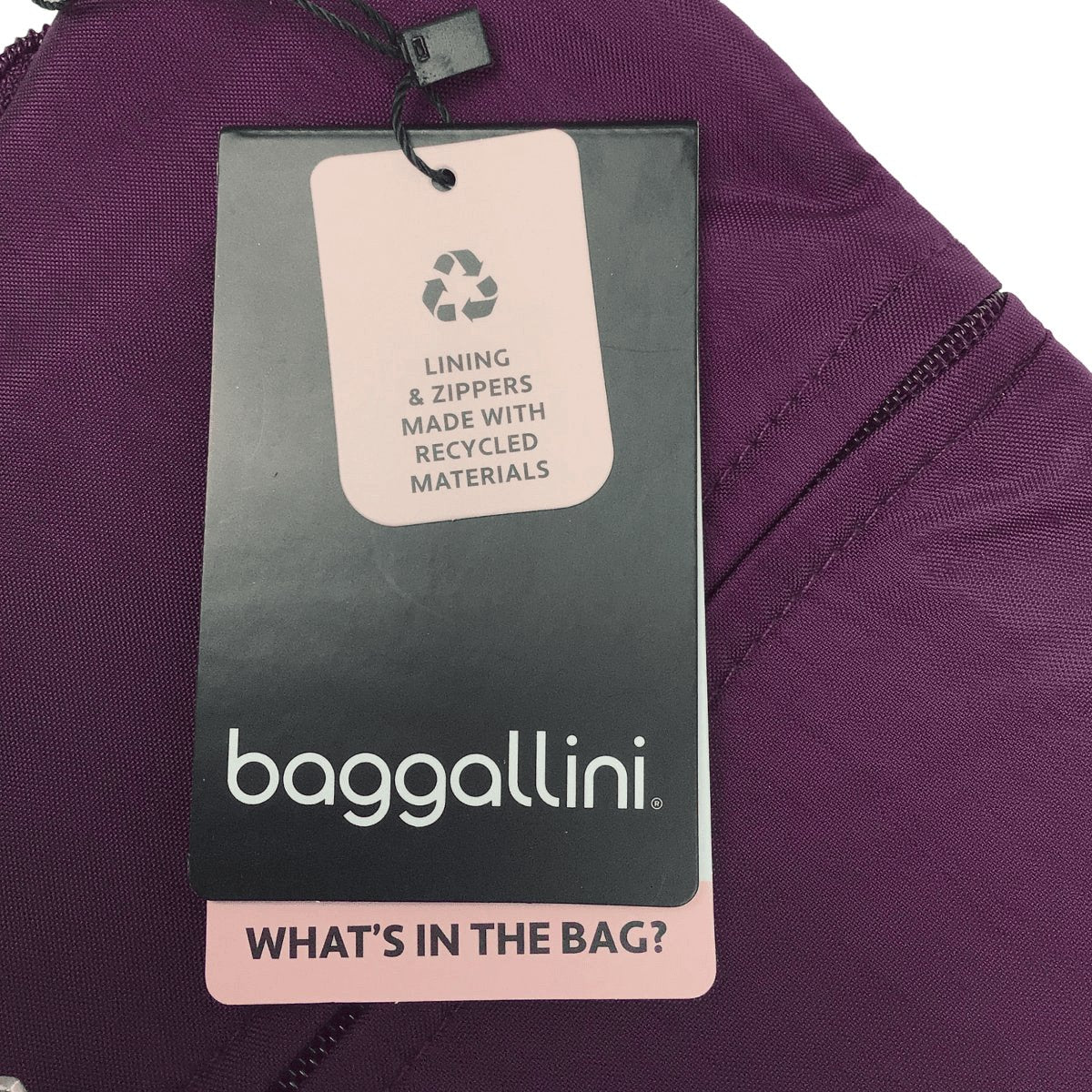 Baggalllini Securetex Anti-Thft Half Moon Purple