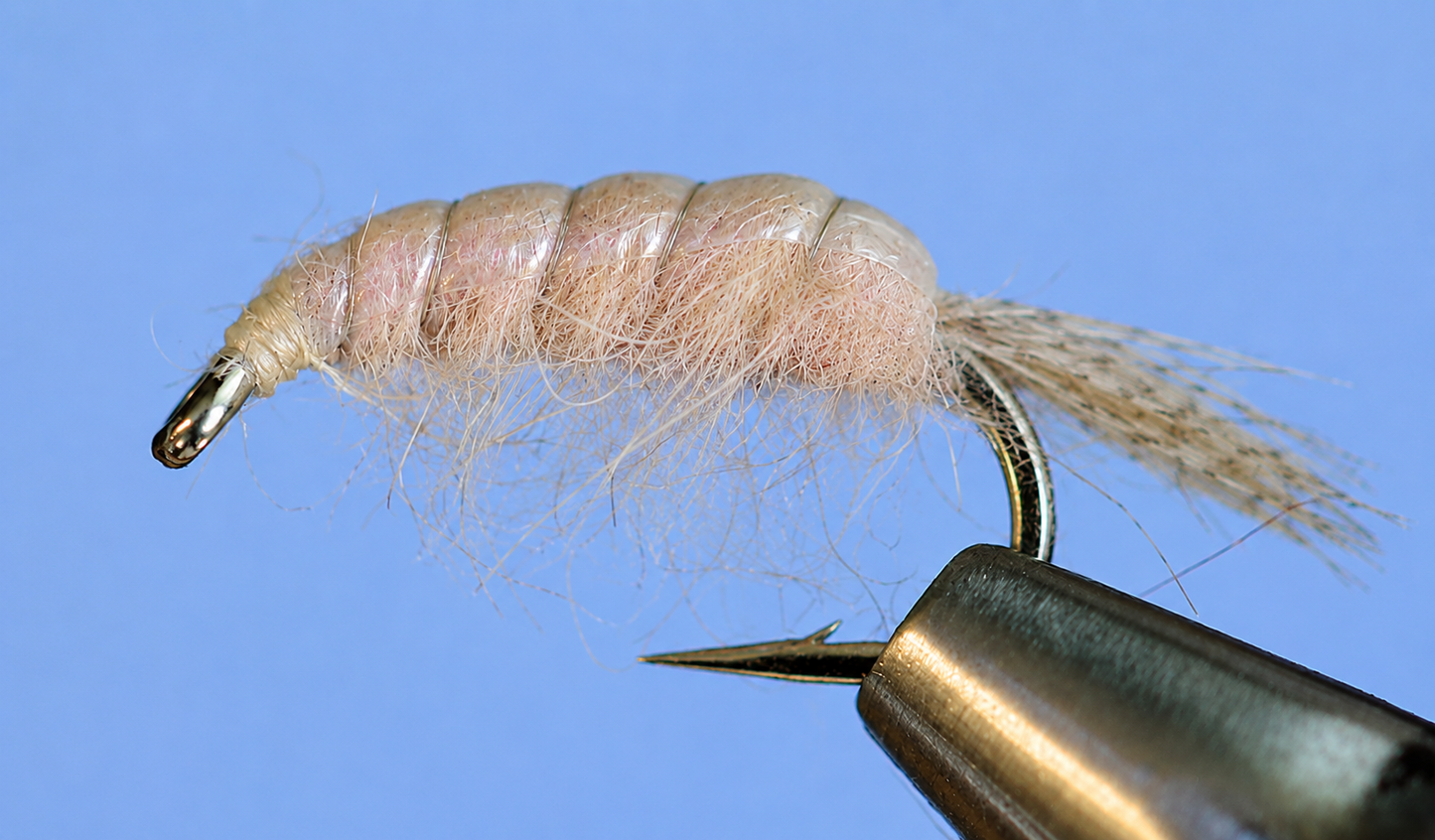 Molting Scuds