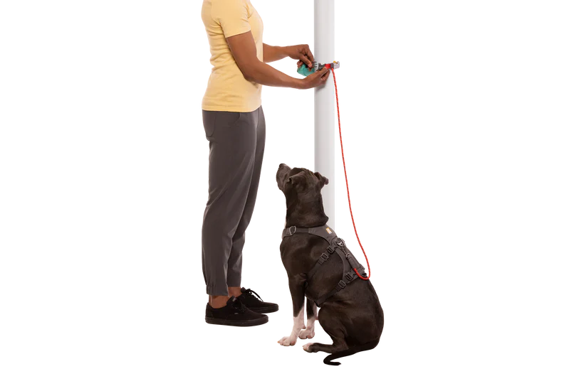 Ruffwear - Hitch Hiker Leash - Aurora Teal