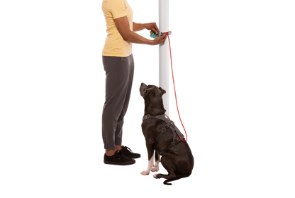 Ruffwear - Hitch Hiker Leash - Aurora Teal