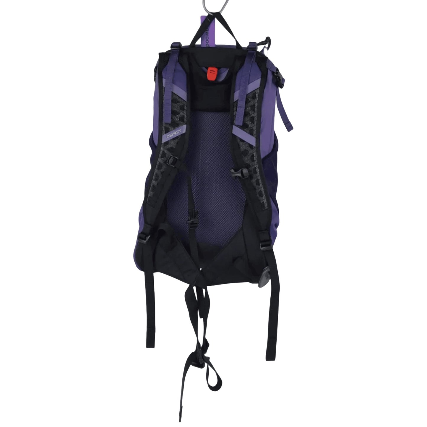 Osprey Hikelite 22